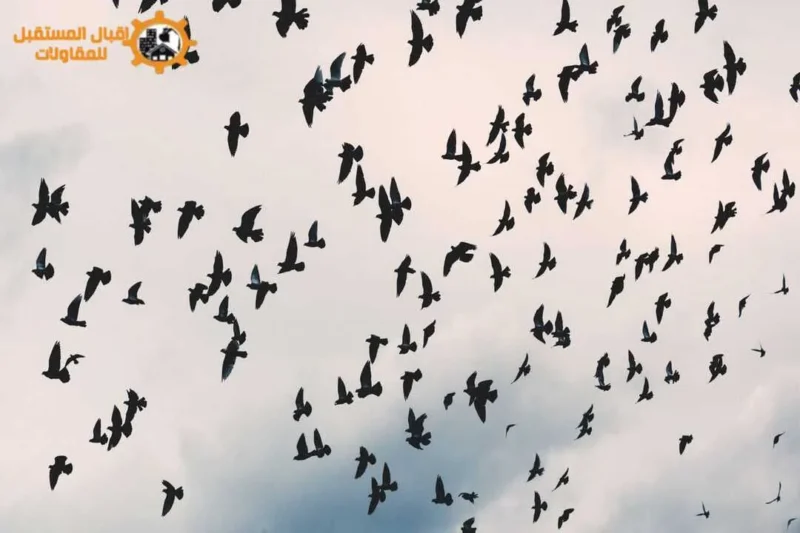 تركيب طارد حمام بالمدينة المنورة